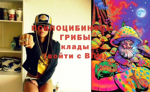PSILOCYBIN Ладушкин