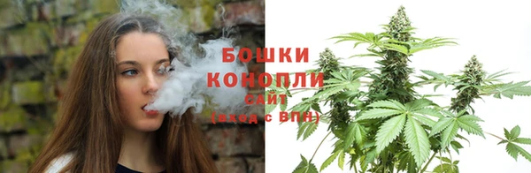 PSILOCYBIN Ладушкин