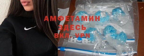 PSILOCYBIN Ладушкин