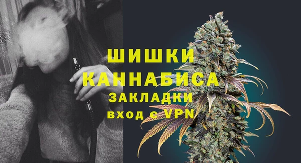 PSILOCYBIN Покров