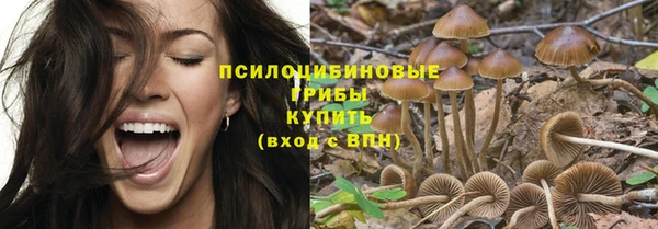 метадон Липки