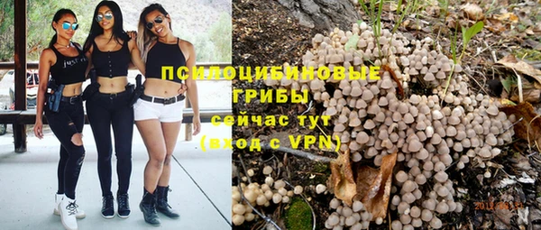 PSILOCYBIN Покров