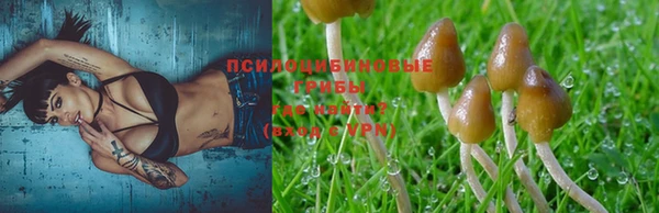 альфа пвп Лабытнанги