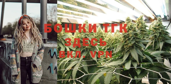 Альфа ПВП Сясьстрой