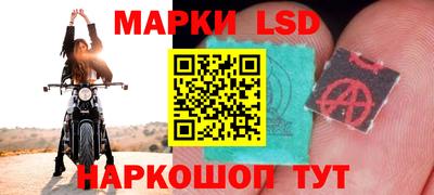 мяу мяу мука Краснознаменск