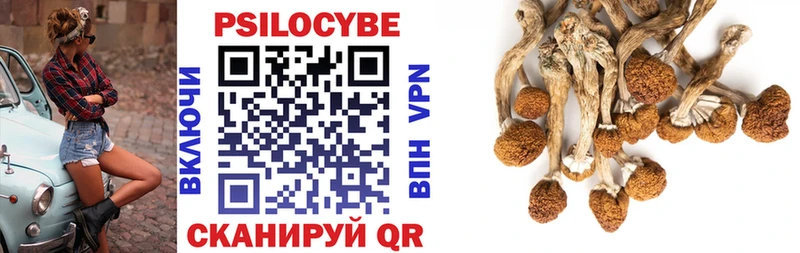 Галлюциногенные грибы мицелий  Тында 