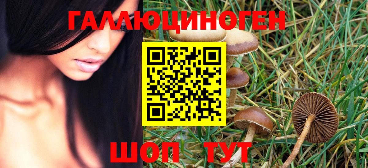 Псилоцибиновые грибы Magic Shrooms  Тында 