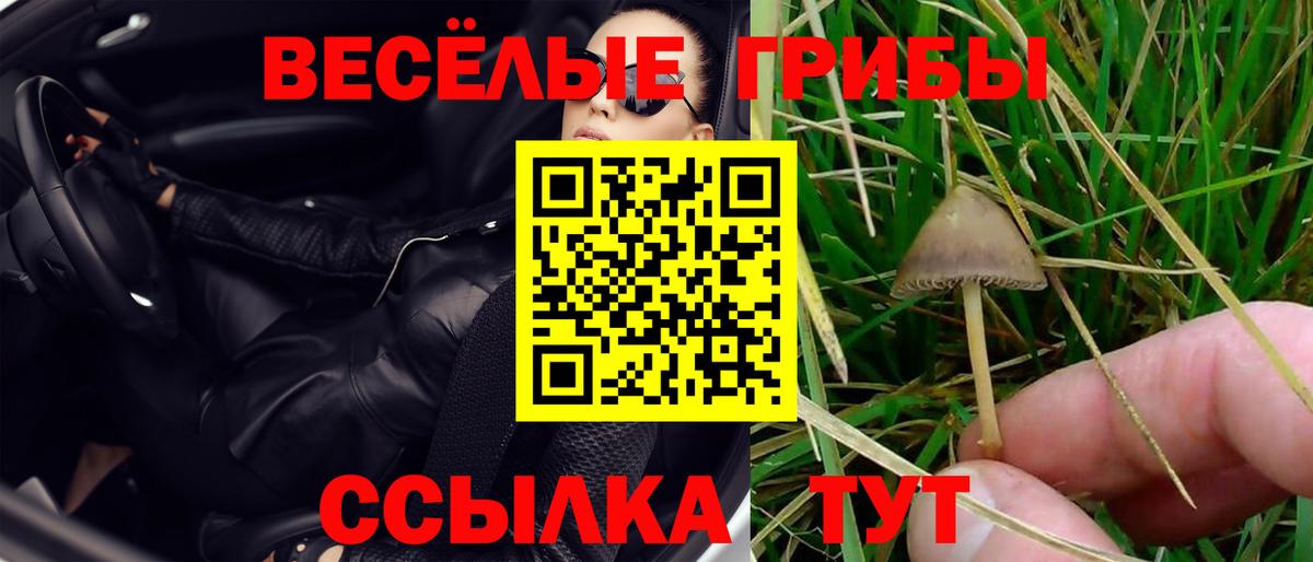 Галлюциногенные грибы прущие грибы  Псилоцибиновые грибы MAGIC MUSHROOMS  Вход с VPN  Тында 