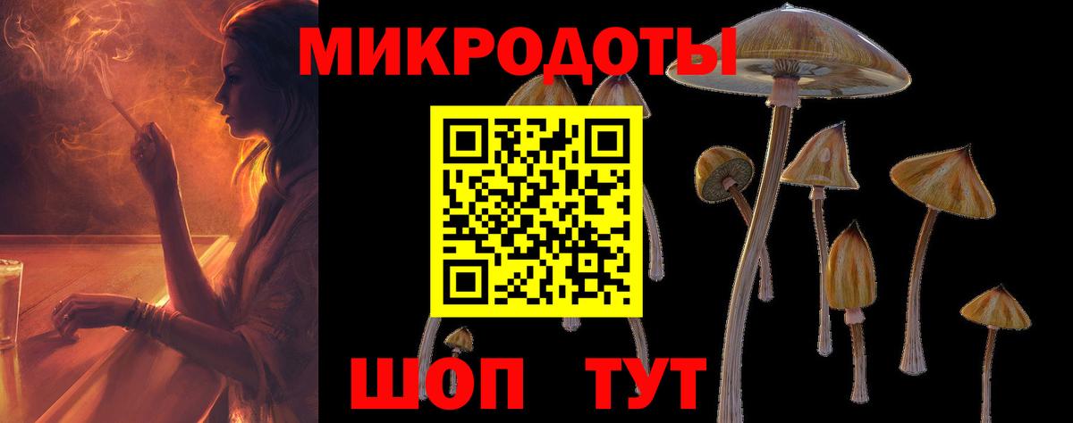 Галлюциногенные грибы мухоморы Тында