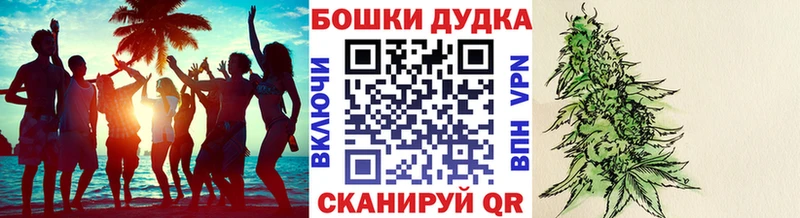 где можно купить   Тында  Бошки марихуана OG Kush 