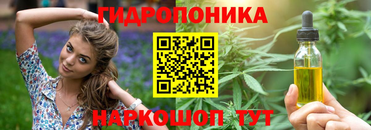 Бошки марихуана план  Бошки марихуана SATIVA & INDICA  Вход с VPN  Тында  Шишки марихуана конопля 